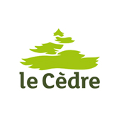 Le Cèdre